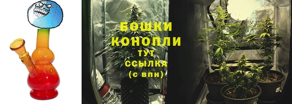 PSILOCYBIN Вязники