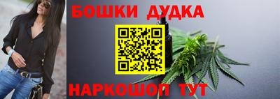 apvp Гатчина