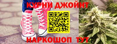 apvp Гатчина