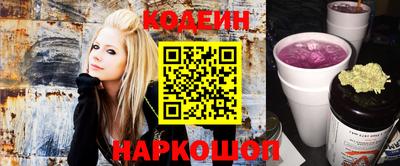 apvp Гатчина