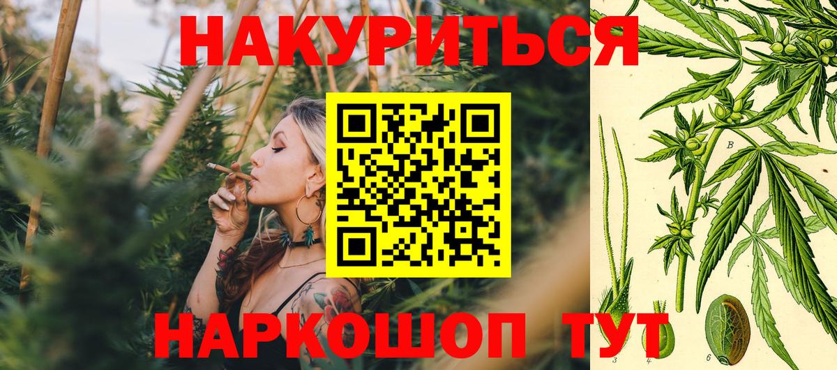 Бошки марихуана план Железноводск